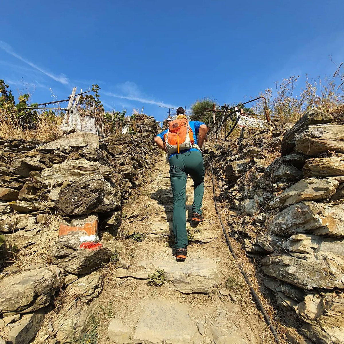 parco5terre's tweet photo. #Trekking e visite con guide alla scoperta del #parco5terre tra i servizi della Cinque Terre Card 👉Calendario maggio #cinqueterrecard  https://t.co/wRIH82yteI https://t.co/qm8cvjSLyS