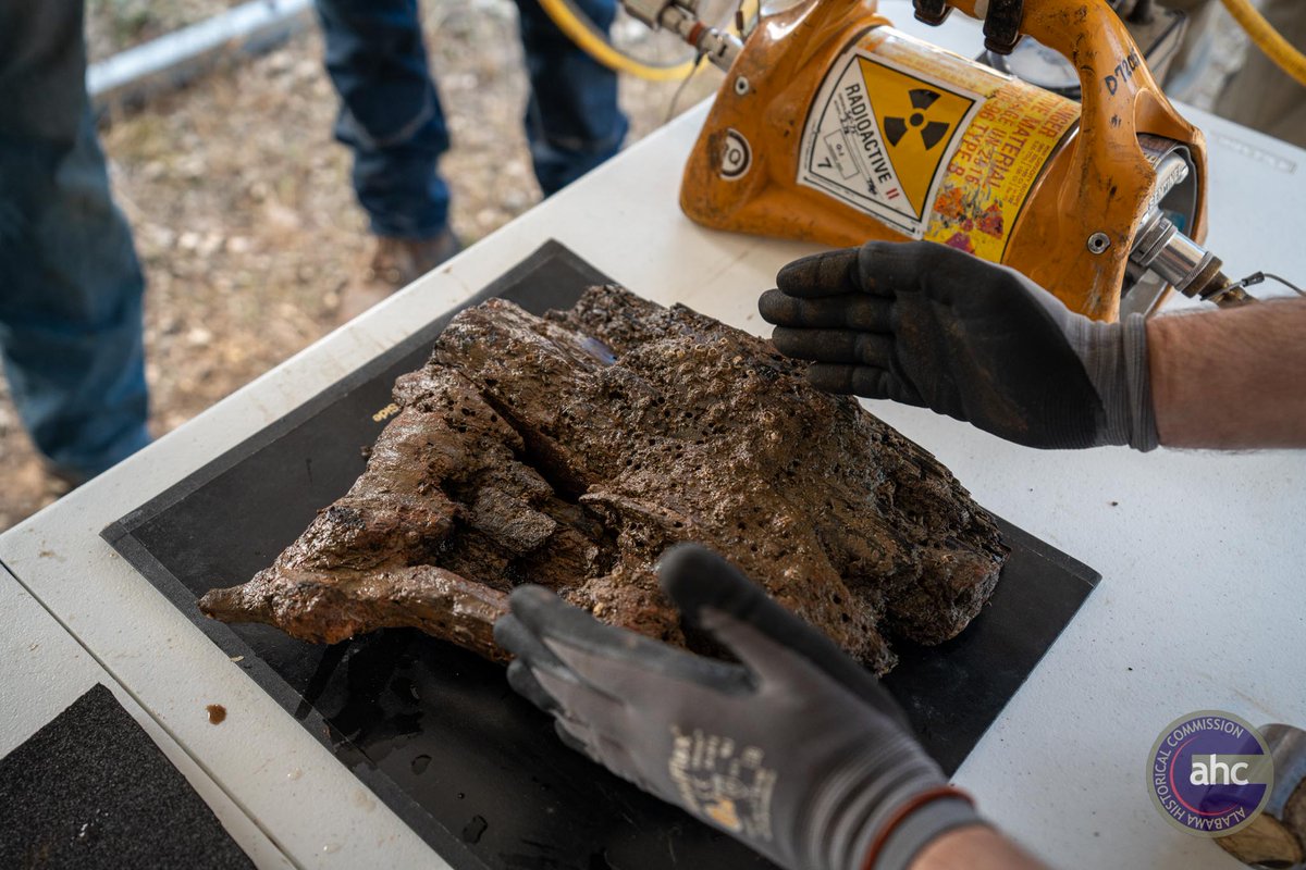 Ala Historical Com tweet media