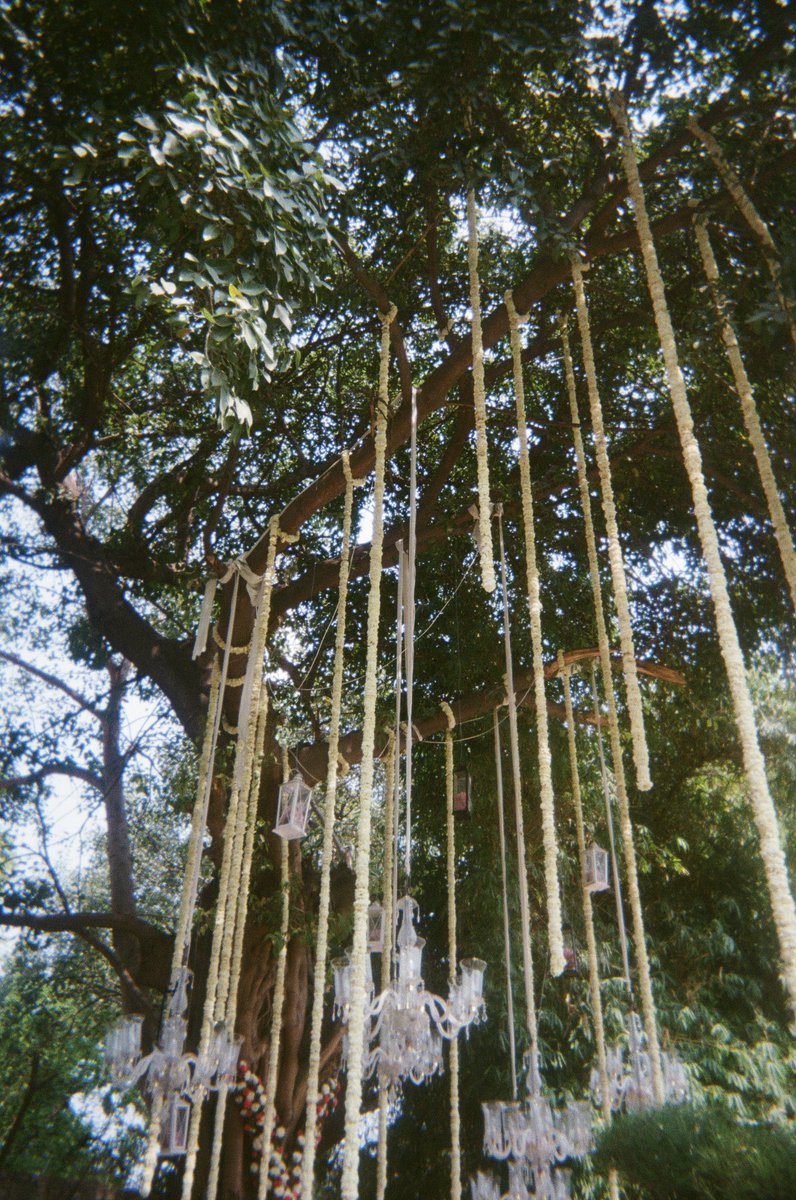 JemicahColleen's tweet photo. India on Film: A Series https://t.co/Cp4m3GGhDX