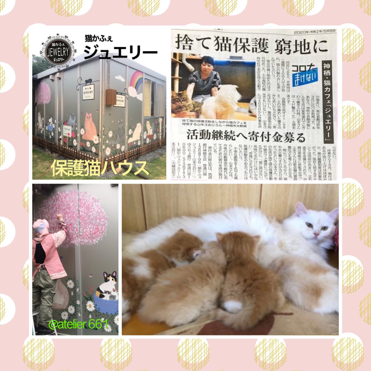 猫かふぇジュエリー Twitter Search Twitter