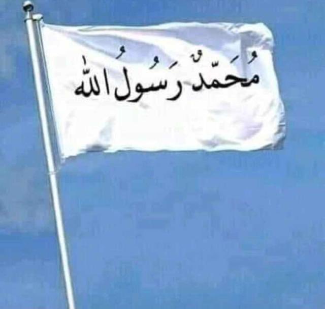 DanShinko's tweet image. If you love him retweet and drop a red