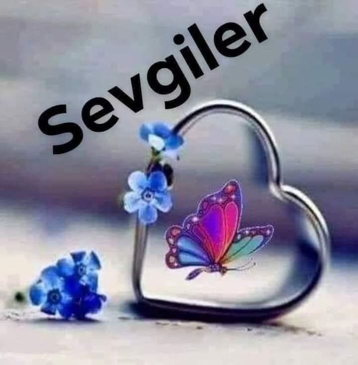 TC_TOPRAK_'s tweet photo. @leventakbas4 @Ceyhan95249560 @meral_akkaba @Berfinim_Deniz @__Ihtiyar @turkcemile66 @AdayEsat @CossNew @Guen_Seli @Orhancicek18 @HasanDa33511670 @FEYMANTV1 @OzdalSirin @sdukel @mustafa45072 @sakineozkaya @Hasanfazl3548 @8sevgi @Sonasona717 @ninkogonulal @hergin1950 @Karagulluler @celaltas2 @Seval27002423 🌹🌿 MERHABA CANLAR (`°*•.🌹🌿
(`°*•.🌹🌿 (`°*•.🌹🌿#Nasip kadar #güzel bir
Kelime var mı?
(`°*•.🌹🌿Ne #eminsin, ne de #ümitsiz.
🌿🌹 (`°*•.🌹🌿Ama senin adına,
(`°*•.🌹🌿En #iyisini bilene #teslimsin
Huzrlu Akşamlar 💛 https://t.co/LJnQg03rDd