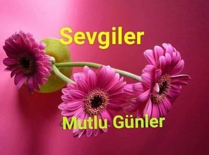 TC_TOPRAK_'s tweet photo. @leventakbas4 @Ceyhan95249560 @meral_akkaba @Berfinim_Deniz @__Ihtiyar @turkcemile66 @AdayEsat @CossNew @Guen_Seli @Orhancicek18 @HasanDa33511670 @FEYMANTV1 @OzdalSirin @sdukel @mustafa45072 @sakineozkaya @Hasanfazl3548 @8sevgi @Sonasona717 @ninkogonulal @hergin1950 @Karagulluler @celaltas2 @Seval27002423 🌹🌿 MERHABA CANLAR (`°*•.🌹🌿
(`°*•.🌹🌿 (`°*•.🌹🌿#Nasip kadar #güzel bir
Kelime var mı?
(`°*•.🌹🌿Ne #eminsin, ne de #ümitsiz.
🌿🌹 (`°*•.🌹🌿Ama senin adına,
(`°*•.🌹🌿En #iyisini bilene #teslimsin
Huzrlu Akşamlar 💛 https://t.co/LJnQg03rDd
