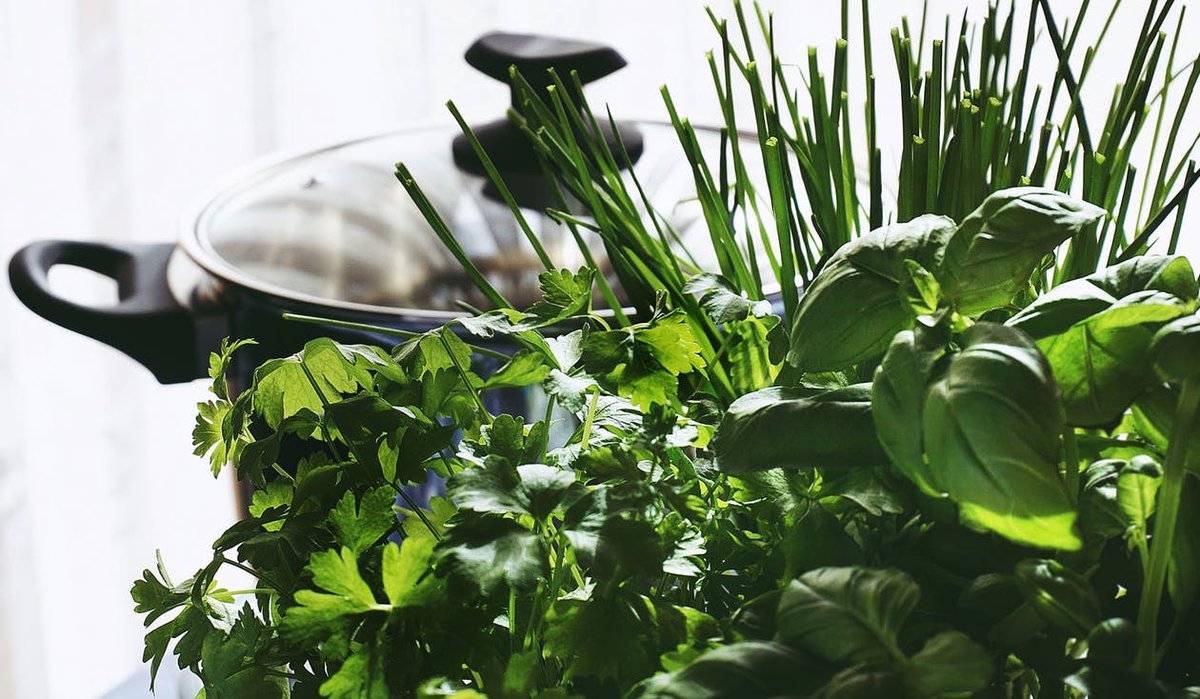 ColletonMuseum's tweet photo. Join local Farmers Market vendor tomorrow (Saturday, May 14th) at 11AM as we discuss and learn about culinary herbs, their benefits, and how to use them! FREE EVENT! https://t.co/BPLIwaXEe2
