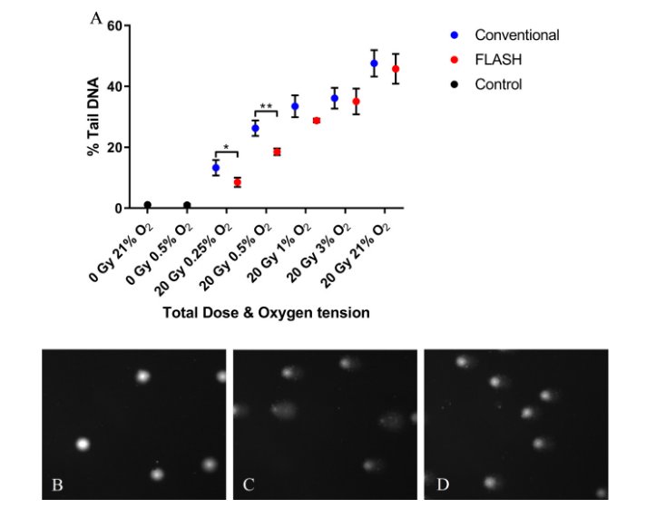 BJR_Radiology's tweet photo. #OpenAccess
FLASH irradiation induces lower levels of DNA damage ex vivo, an effect modulated by oxygen tension, dose, and dose rate
https://t.co/WMmCZNRg4a
#Flash #RadOnc #Radiotherapy #RadRes https://t.co/ypvrKGhhYw