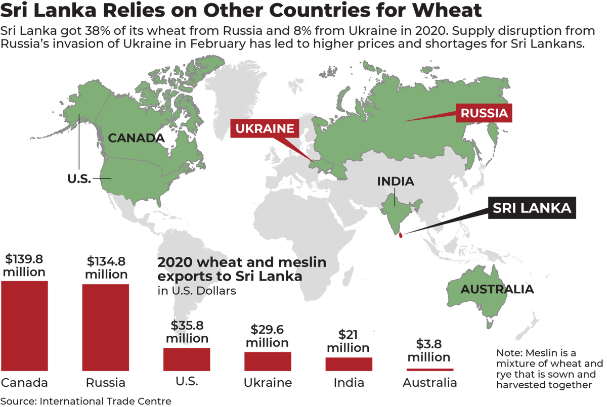 The conflict between Russia and Ukraine, two of Sri Lanka’s biggest wheat suppliers, reverberates in an unlikely setting, reports  
<a href="/indrakularasa/">Thayalini Indrakularasa</a>, GPJ Sri Lanka: bit.ly/3MPUOL0
#KnowYourWorld #srilankadaily