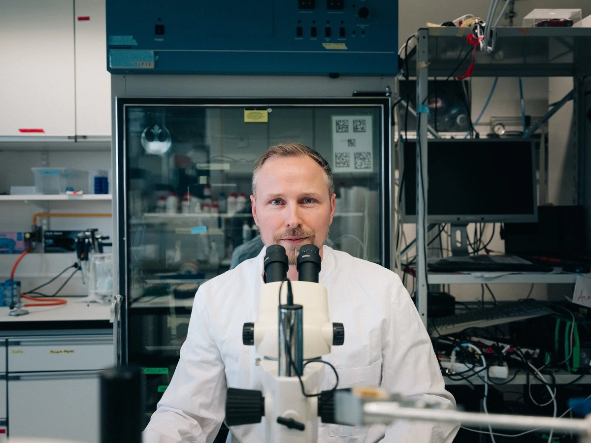 CollinEwald's tweet photo. Kann man das #Altern verlangsamen? #Fadenwürmer im Fokus der #Altersforschung. #EwaldLab @eth_en. Danke für Interview @Galaxus @bardelli68 @ETHypertrophy
 https://t.co/7OzMliFxch https://t.co/kB2oC5DzZO