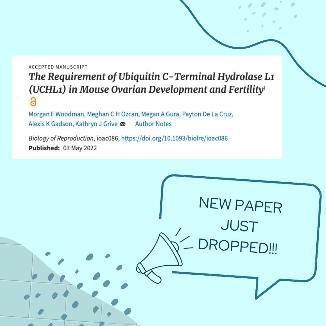 Payton De La Cruz tweet media