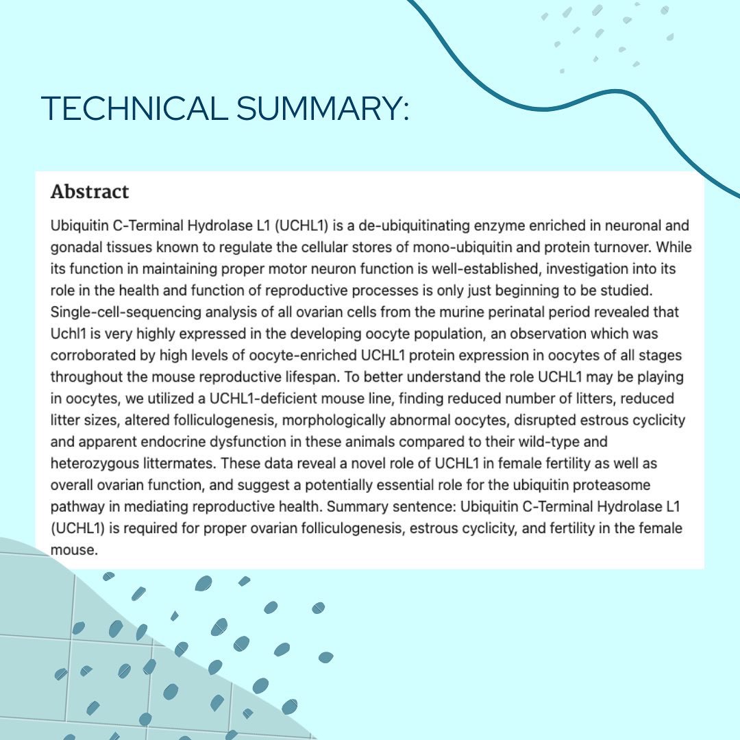 Payton De La Cruz tweet media