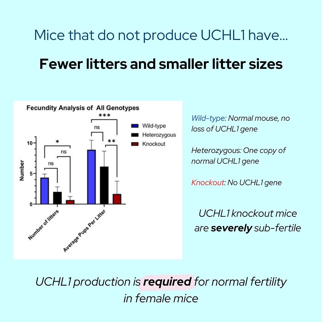Payton De La Cruz tweet media