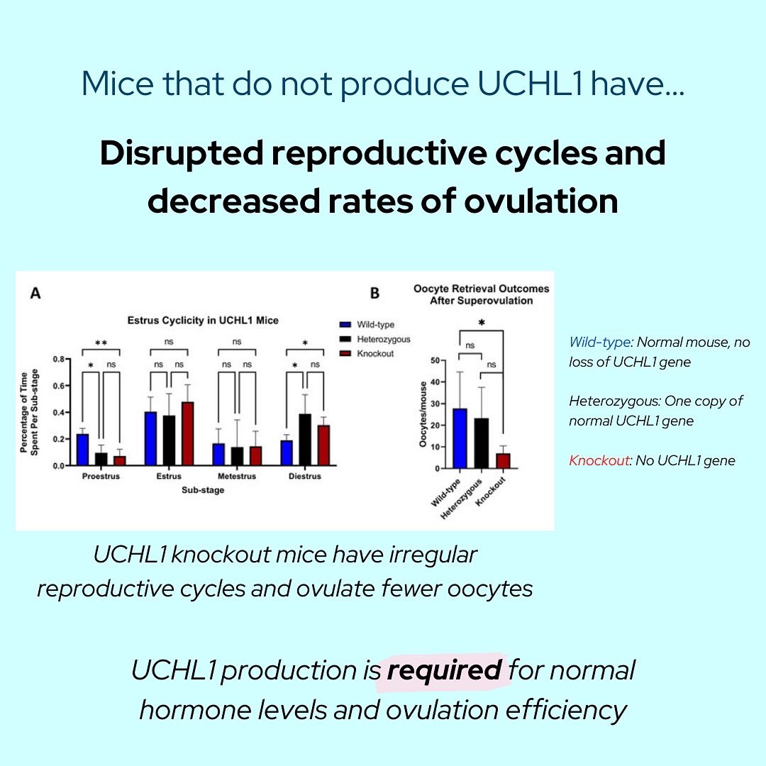 Payton De La Cruz tweet media