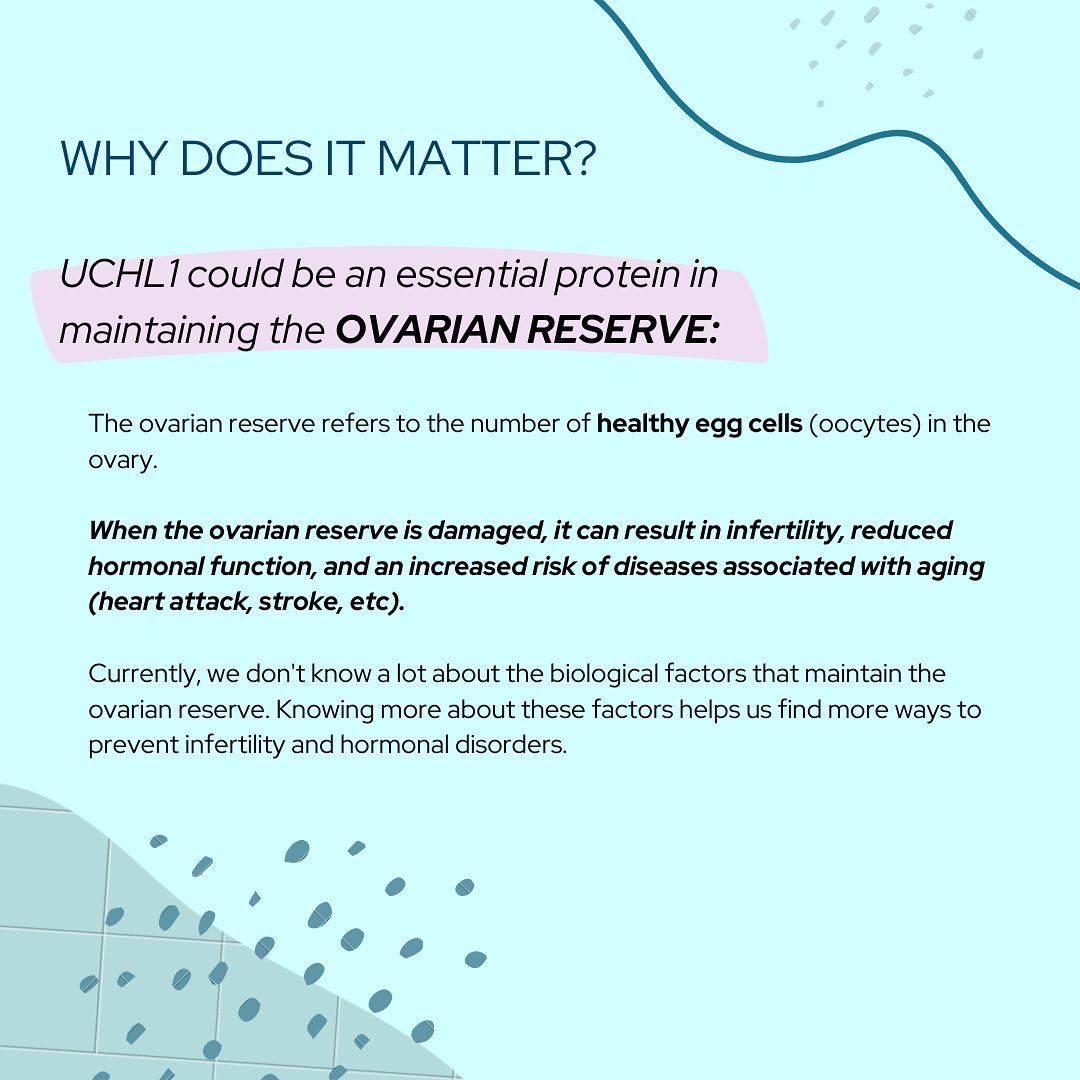 Payton De La Cruz tweet media