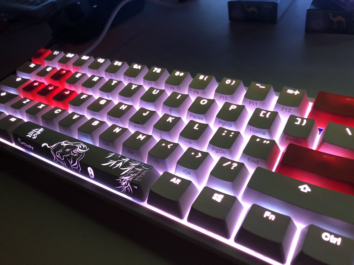 Axel08135737's tweet photo. むっちゃカッコええ…。
たまらん🤤🤤🤤🤤🤤
#ducky #one2mini https://t.co/iaqWpPlSog