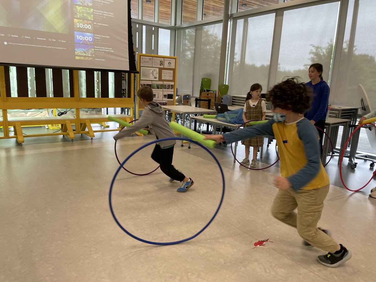 Mr. Timke's Class tweet media