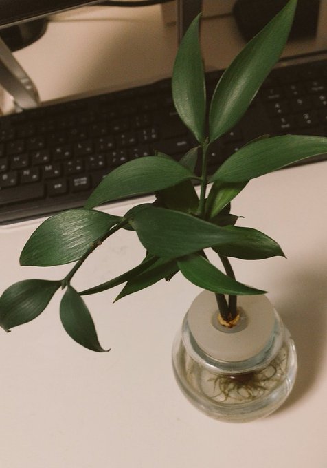 キレイキレイのtwitterイラスト検索結果 古い順