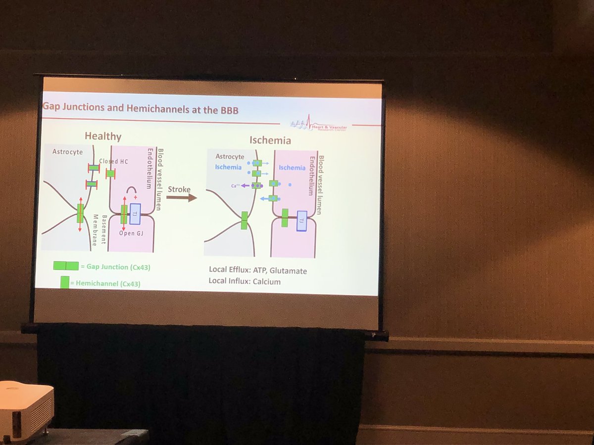 Grace Gamba tweet media