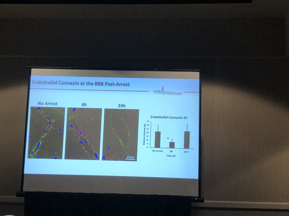 Grace Gamba tweet media