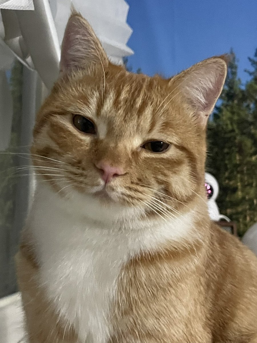 누나도 사랑해😍