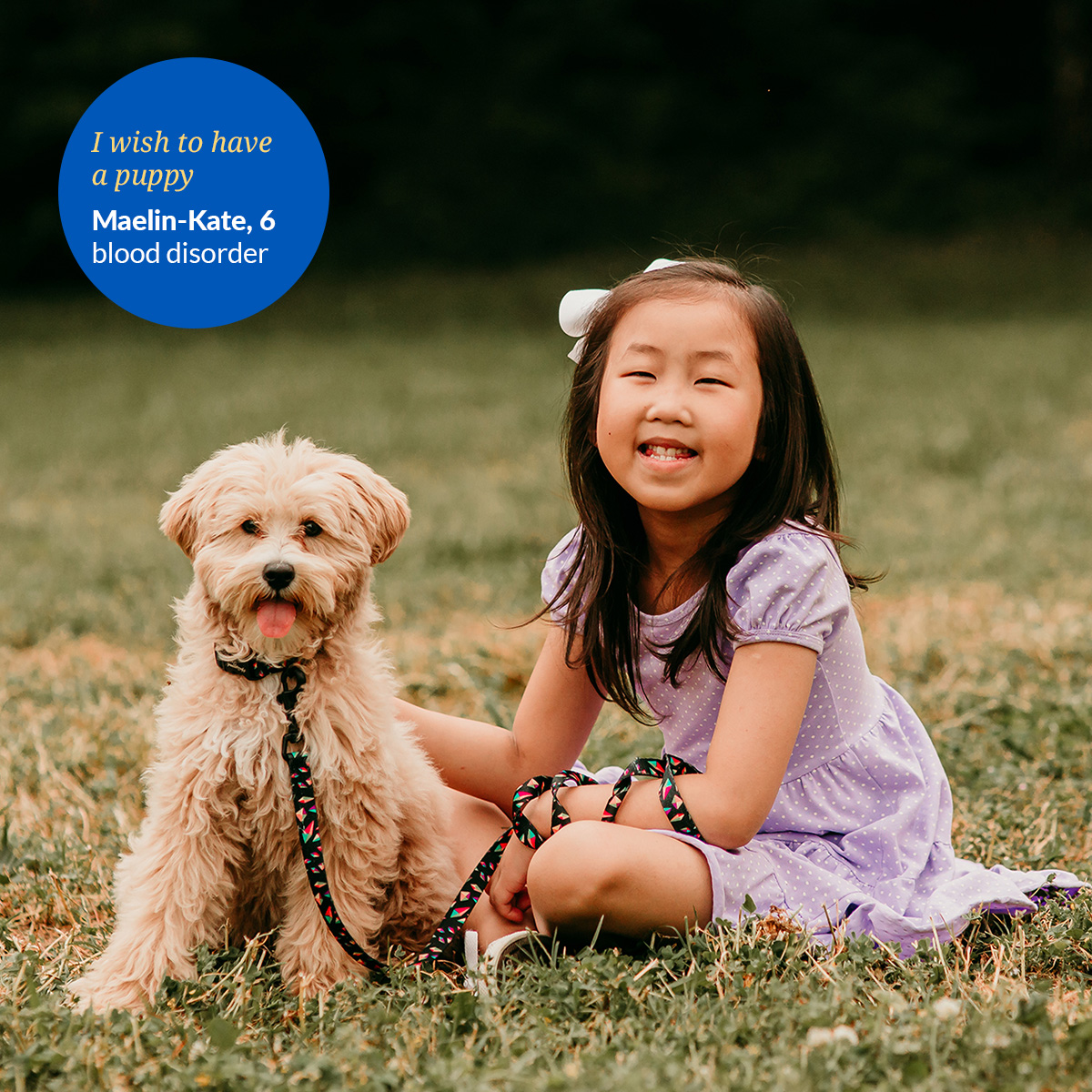 Make a wish america on twitter wishes have a positive impact on the