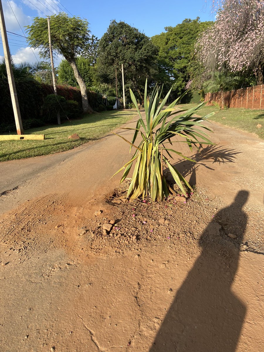 EnardEn's tweet photo. Nyika inovakwa nevene vayo. https://t.co/ZkEahtNmrl