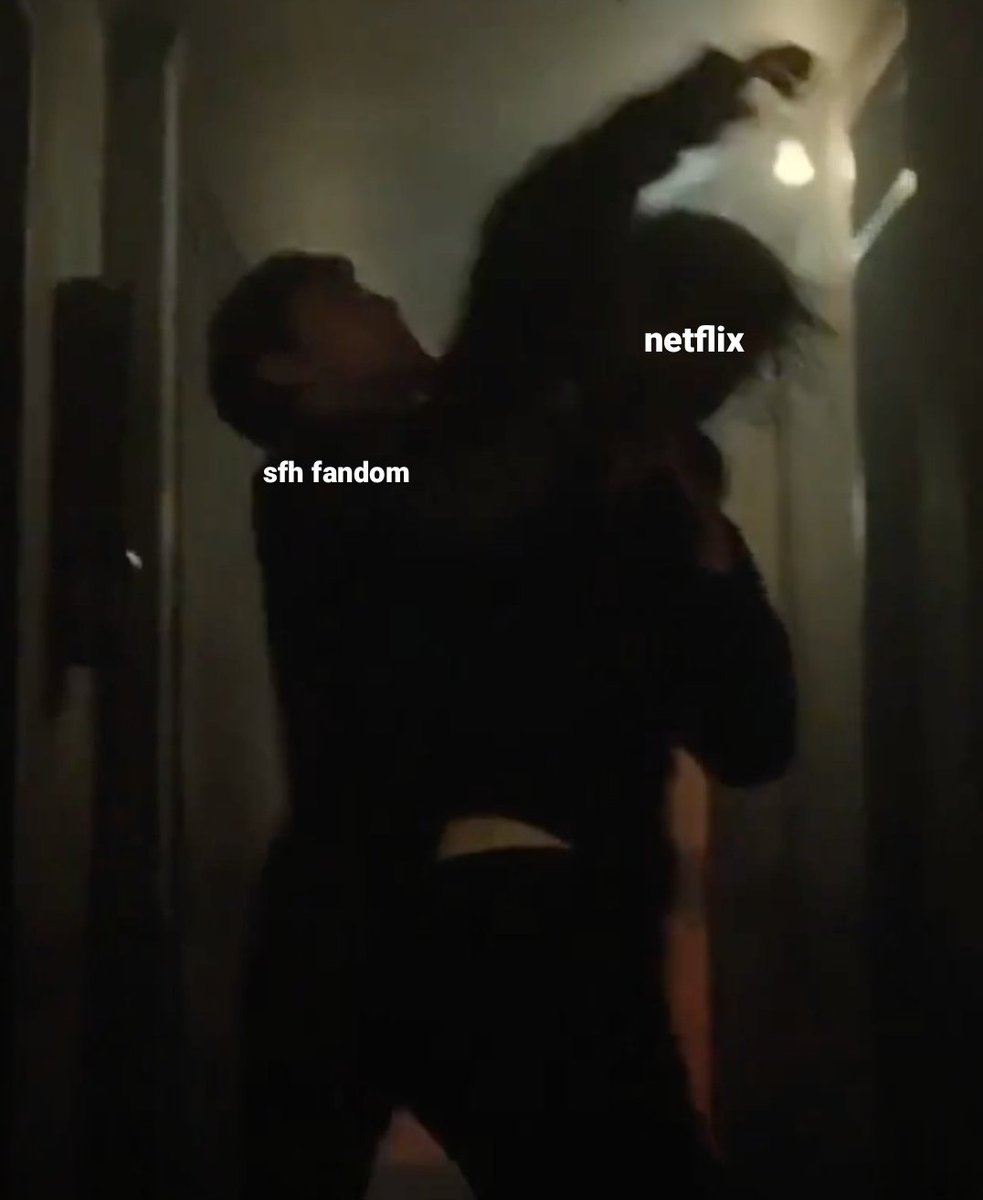 the whole sfh fandom on May 14: