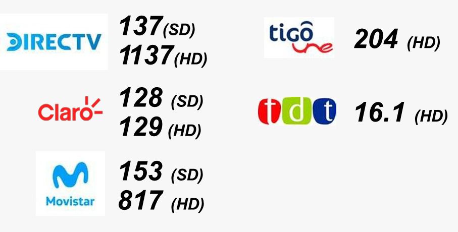 JaramiEli's tweet photo. Llegó el día en el que rendiremos cuentas de cómo en la #URT cosechamos esperanza y transformamos vidas.

¡No te lo pierdas! https://t.co/1mYJdA0BHR