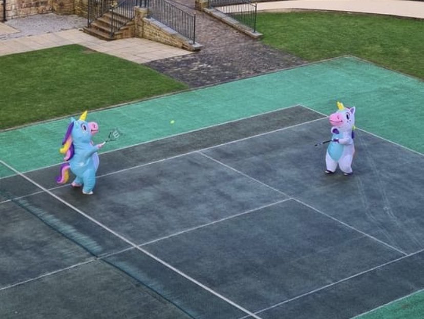 ItsProbsNothing's tweet photo. @mad_sequence The unicorn antics continue! Taking some time out for a game of tennis to make my irl community smile! 🙃🦄 We must be $MAD https://t.co/iPD0J7NhCh