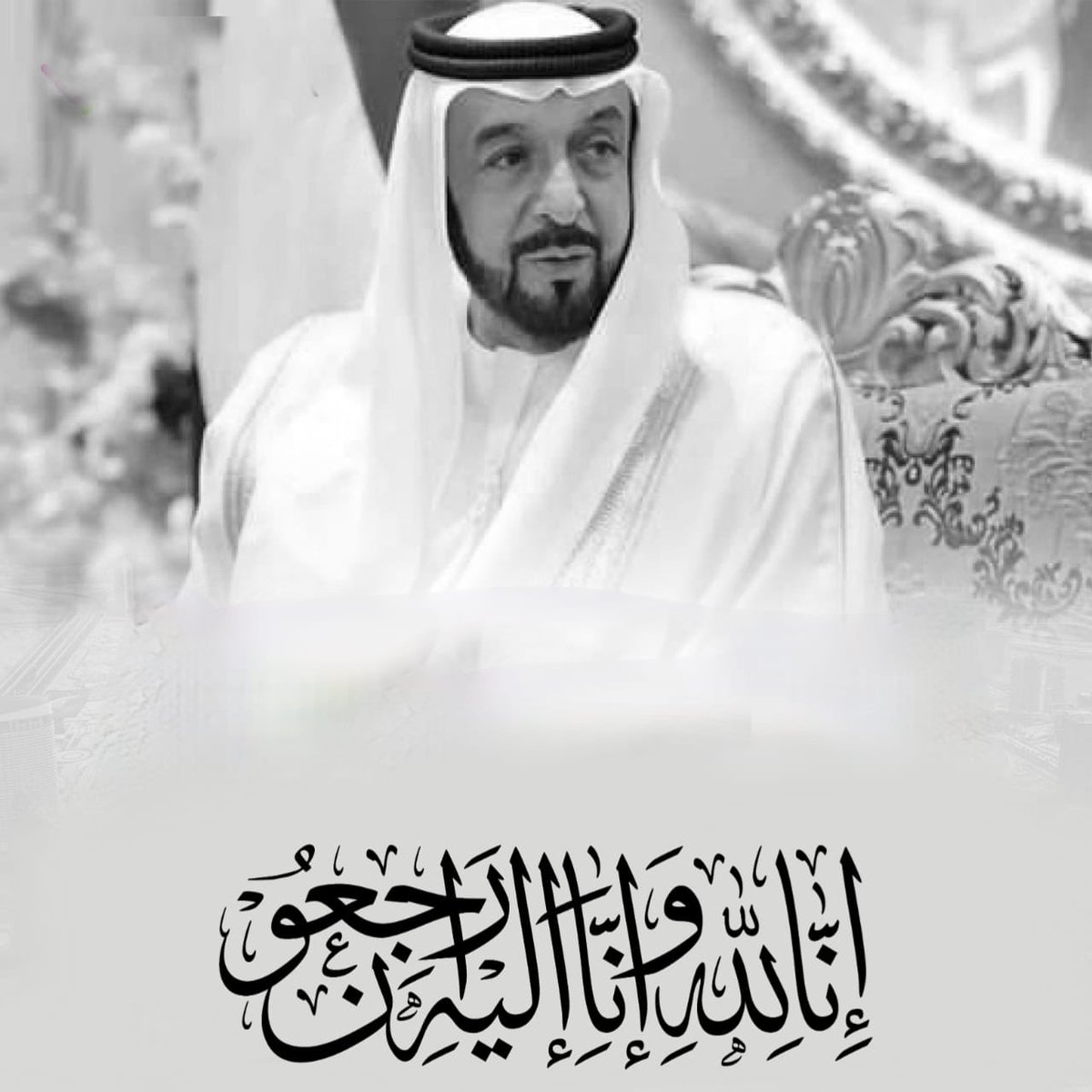 Vivacoder UAE tweet media