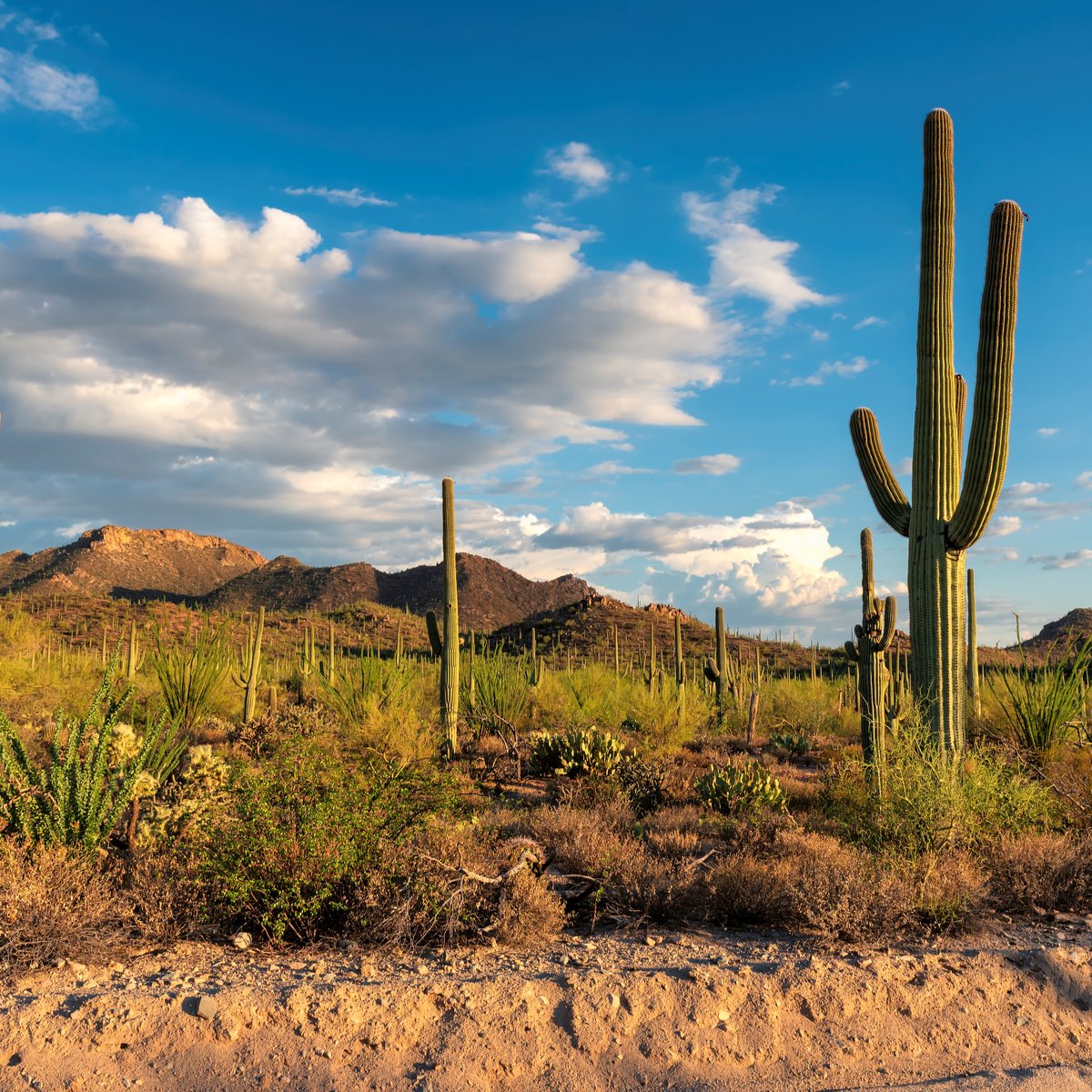 1Weather tweet media