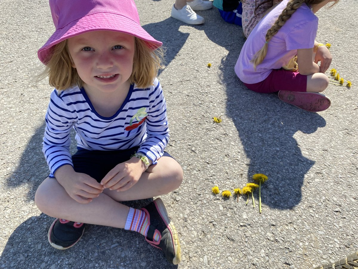 EmilySledz's tweet photo. Enjoying this beautiful sunny Friday by creating nature bracelets and ordering dandelions from shortest to tallest! ☀️🌼

@SMCDSB_SJA @MsGillis2 https://t.co/U7bJ9oSmdh
