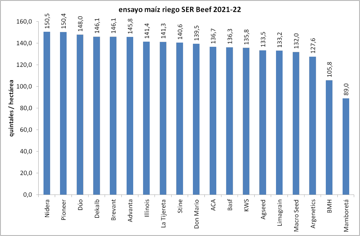 En ranking por semillero: