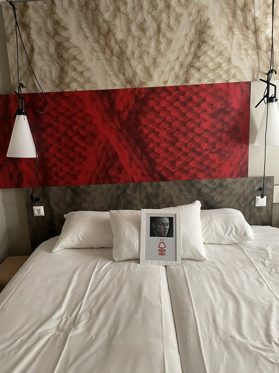 Lomas0687's tweet photo. When you ask for a framed photo of Steve Cooper in your hotel room in #amsterdam and #ibis delivers  … #nffc #letsbattersheffu https://t.co/4MSdefudNx