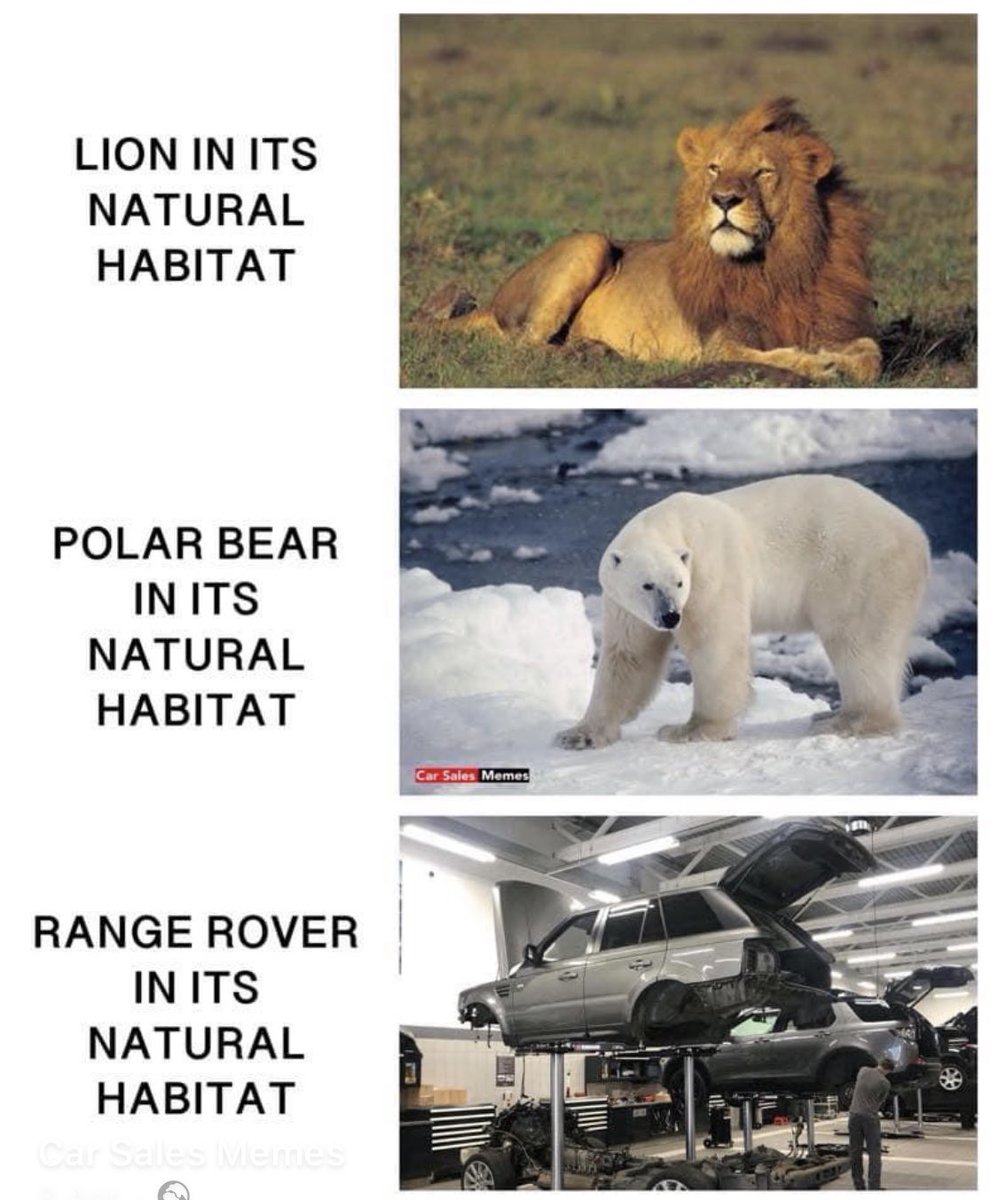 insomnibrat's tweet photo. High drama in the warranty office of Stratstone Land Rover right now as yet another claim is filed under ‘Caveat Emptor’. #mikecox https://t.co/3L7qGf6pP2