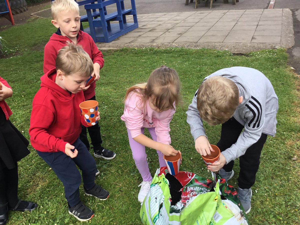 CGIPhillips's tweet photo. Weβve loved being outside and planting sunflower π» seeds for @EwennyGC as party of their sunflower π» growing competition #ewennysunflowercomp #CGISCITECH @EcoCgi https://t.co/M66CflU3aK