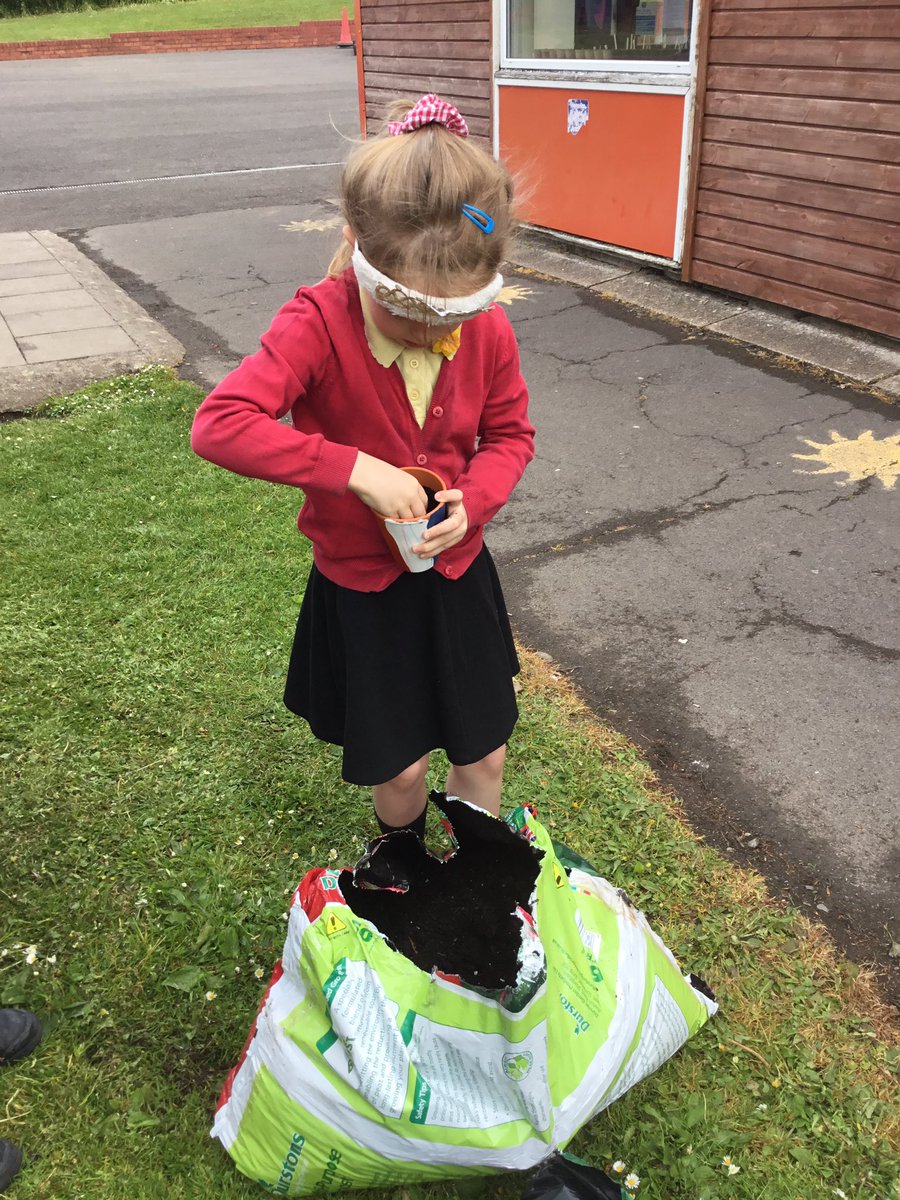CGIPhillips's tweet photo. Weβve loved being outside and planting sunflower π» seeds for @EwennyGC as party of their sunflower π» growing competition #ewennysunflowercomp #CGISCITECH @EcoCgi https://t.co/M66CflU3aK