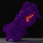 Photo by Riniker lab @ ETHZ (@rinikerlab)