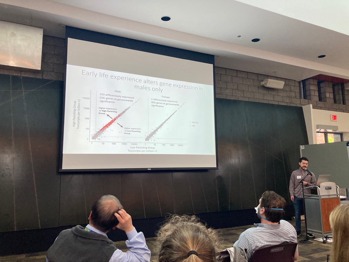 Our grad student <a href="/JoshDanoff/">Josh Danoff</a> presenting some incredible new work at the <a href="/UVA_PFN/">UVA Neuroscience</a> retreat!