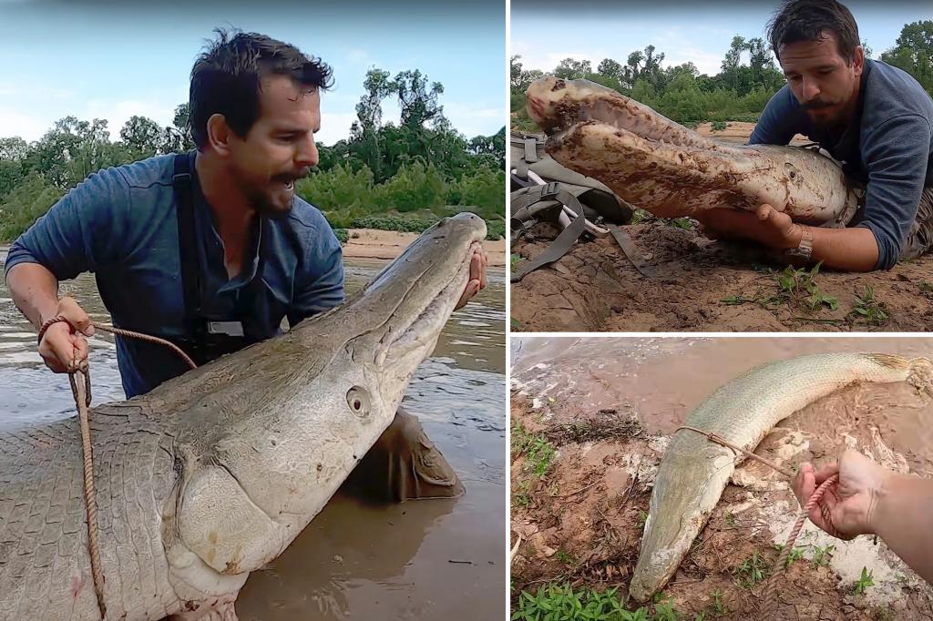 New York Post on X: Texas fisherman hooks 300-pound alligator gar outside  Houston   / X