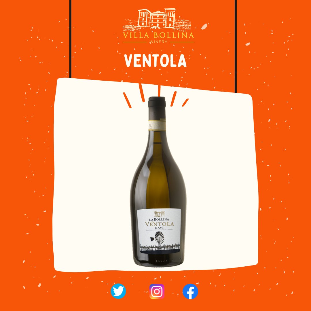 labollinawinery's tweet photo. Per circa 3️⃣ mesi, il nostro #Ventola affina sui lieviti con batonnage periodici, dove il 6️⃣0️⃣% della massa viene affinata in contenitori d'acciaio ed il restante 4️⃣0️⃣% in barriques nuove da 225 litri #LaBollina https://t.co/v6p6iuXn8U