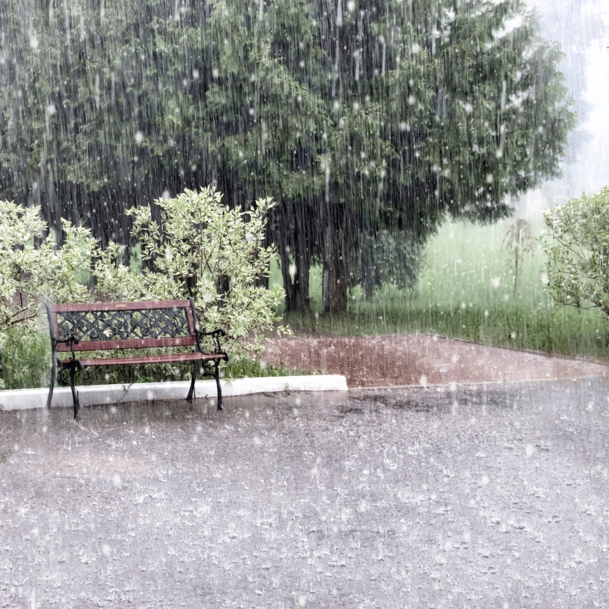 1Weather tweet media