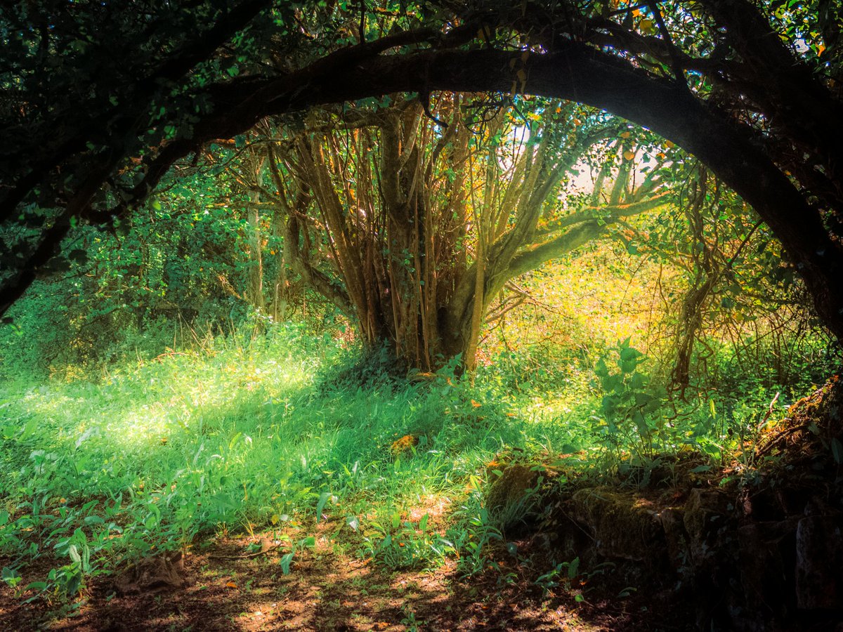 artofseanmurphy's tweet image. A Fantasy Written With Love