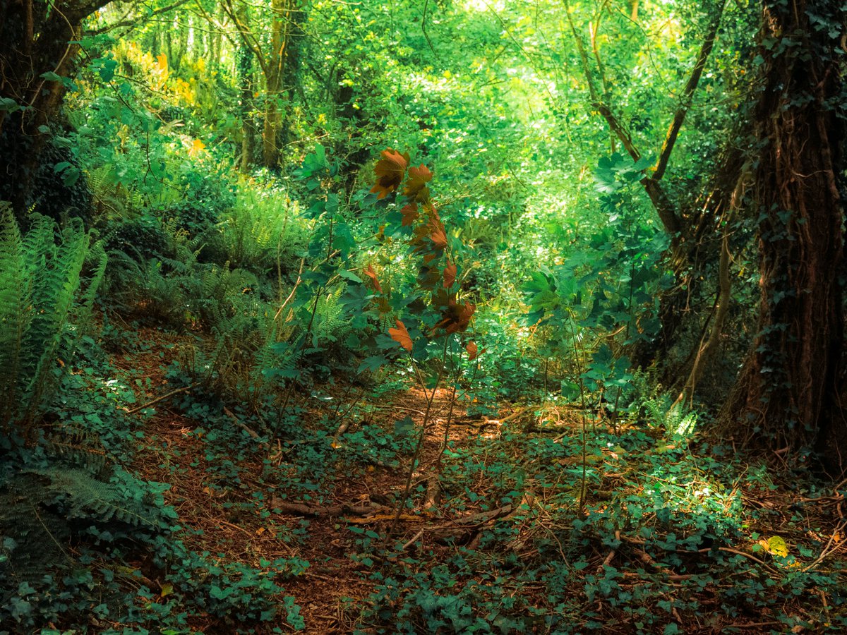 artofseanmurphy's tweet image. A Fantasy Written With Love