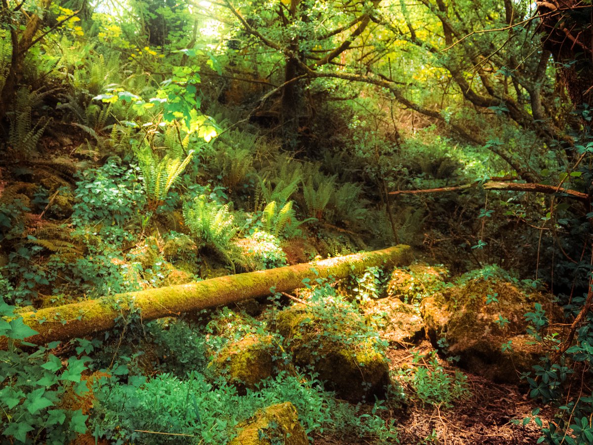 artofseanmurphy's tweet image. A Fantasy Written With Love