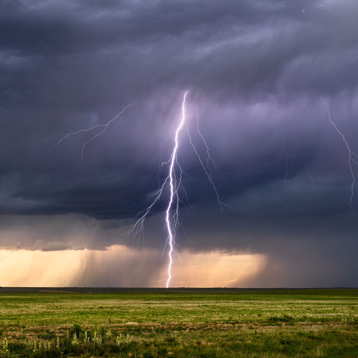 1Weather tweet media