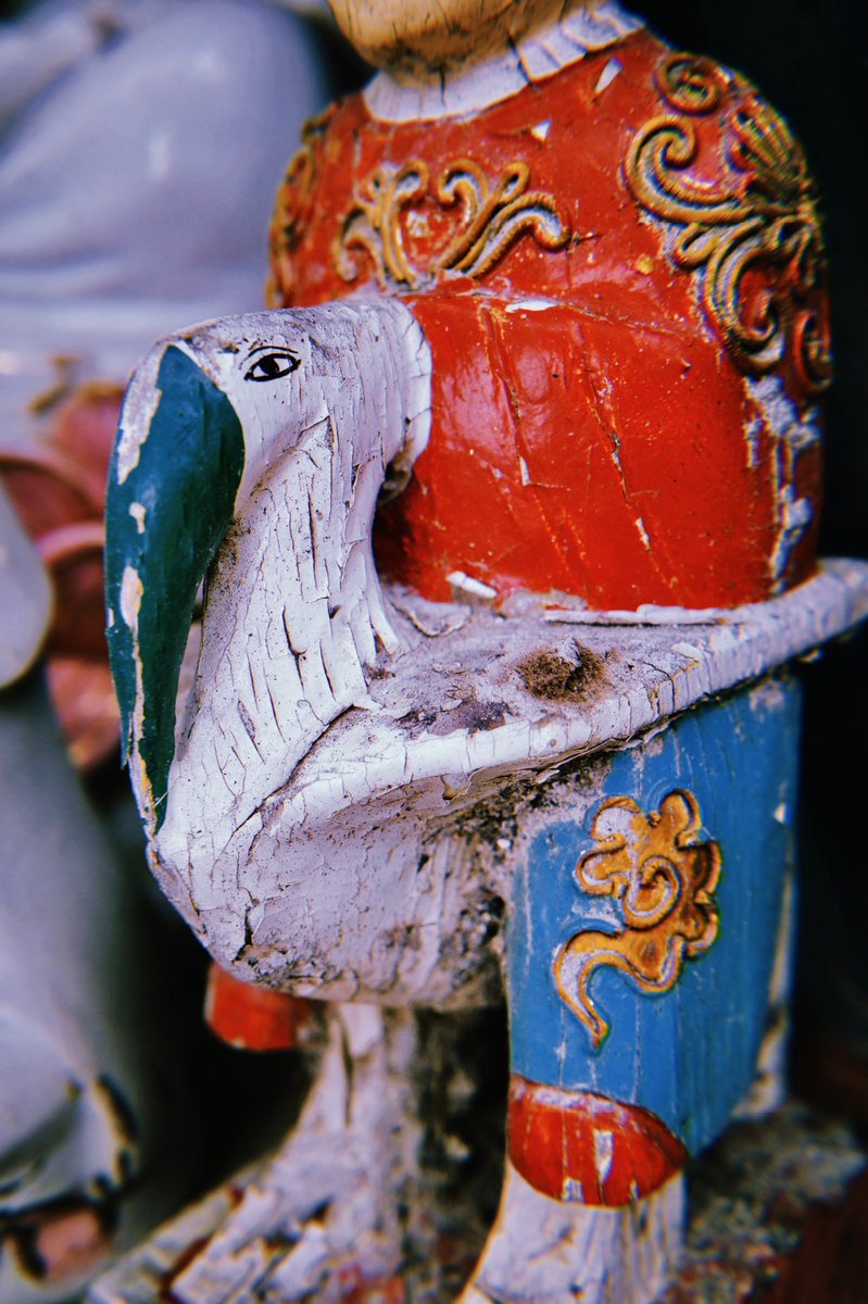 Kasper_Forest_'s tweet photo. The red-crowned crane, also called the Japanese crane, is a large East Asian crane among the rarest cranes in the world. It is known as a symbol of luck, longevity, and fidelity.
#DocumentaryPhotography
#ForgottenAngels
#CommunityArt
#photography https://t.co/CRanp7Lm5X