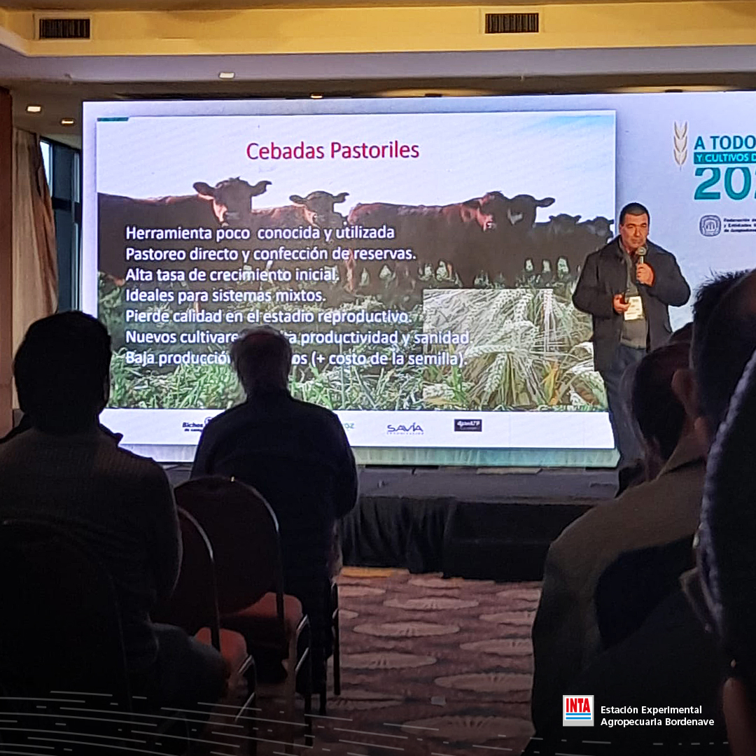 INTABordenave's tweet photo. 📢#Ahora➡️Congreso "A Todo Trigo y Cultivos de Invierno 2022"🌱#AtodoTrigo2022🌿
👉Mejoradores de INTA Bordenave presentan novedades en manejo y cultivares de #CebadasPastoriles, #avenas y #centenos 💪🏽 https://t.co/Tv5idKSlEg