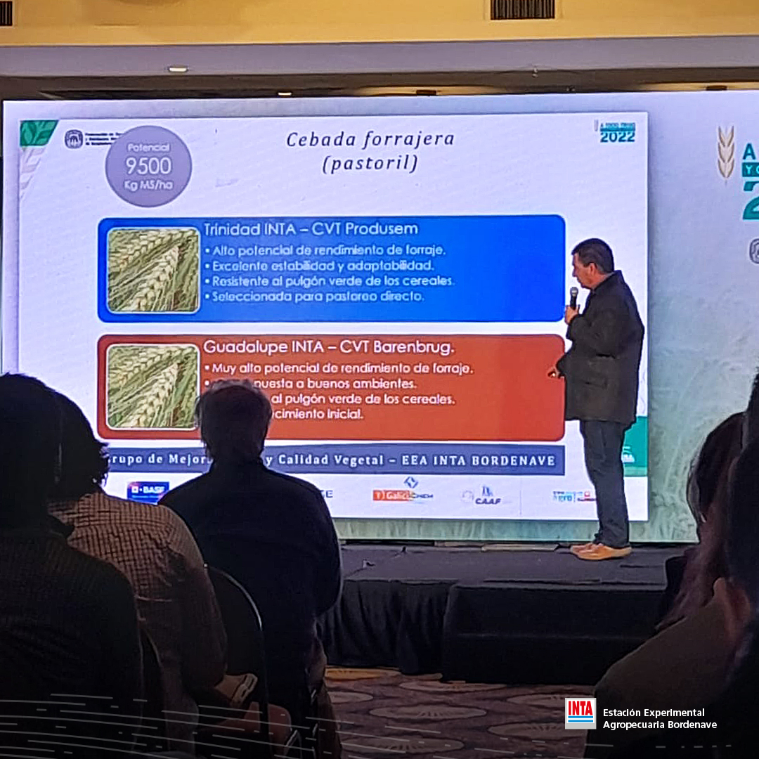 INTABordenave's tweet photo. 📢#Ahora➡️Congreso "A Todo Trigo y Cultivos de Invierno 2022"🌱#AtodoTrigo2022🌿
👉Mejoradores de INTA Bordenave presentan novedades en manejo y cultivares de #CebadasPastoriles, #avenas y #centenos 💪🏽 https://t.co/Tv5idKSlEg