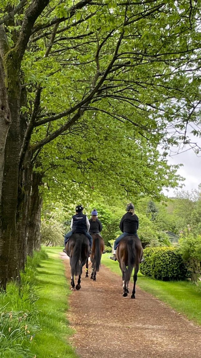 Sasha Thorbek (@perfectday4) on Twitter photo Riding into the weekend #FridayFeeling
For more information on Greatwood's mental health and wellbeing programmes please contact us:
☎️ 01672 514535
📧 info@greatwoodcharity.org
💻 greatwoodcharity.org Riding into the weekend #FridayFeeling
For more information on Greatwood's mental health and wellbeing programmes please contact us:
☎️ 01672 514535
📧 info@greatwoodcharity.org
💻 greatwoodcharity.org