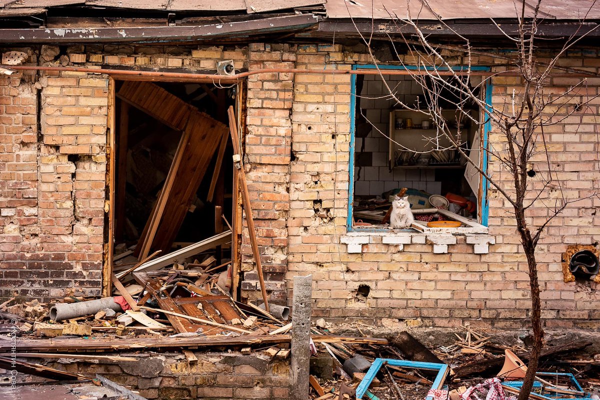 Yuliya_comm's tweet photo. The corporate response to one of the biggest forced immigrations due to the war in Ukraine since the Second World War| Part 1 | by Yuliya Matvyeyeva https://t.co/eGxpB6NPQL 
#Ukraine #RefugeesWelcome #DiversityandInclusion  #Diversity https://t.co/fTQtJBS8l0