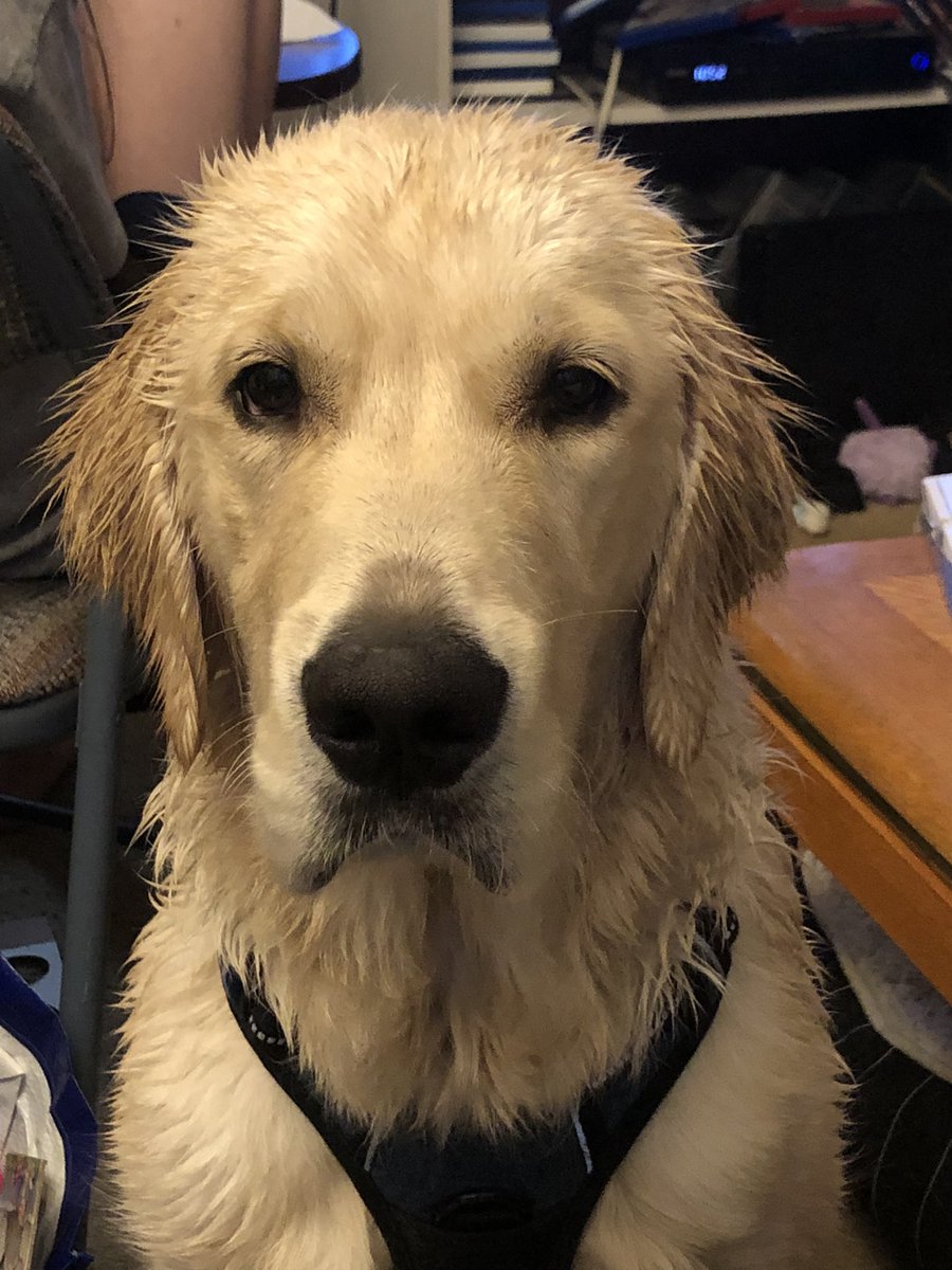 He is regretting his timing on his decision to ask to go outside.